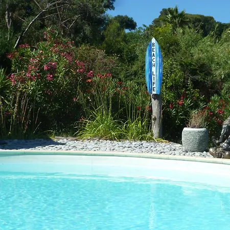 Hibiscus Antibes