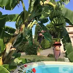 Vila Hibiscus Antibes