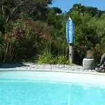 Hibiscus Antibes