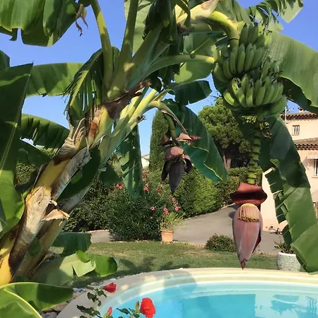 וילה Hibiscus אנטיב