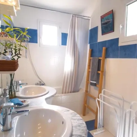 Hibiscus * אנטיב