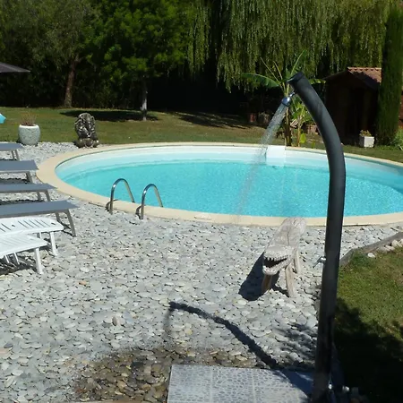 Hibiscus * אנטיב