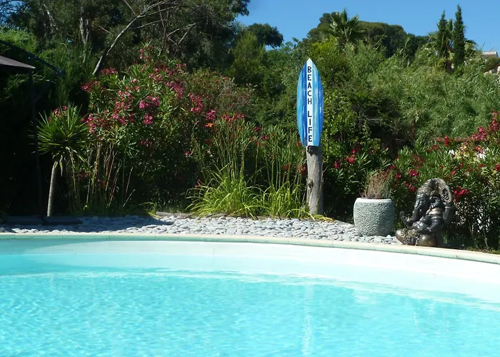 Hibiscus Antibes